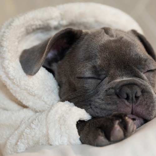 Vibrant community life with a variety of dining options